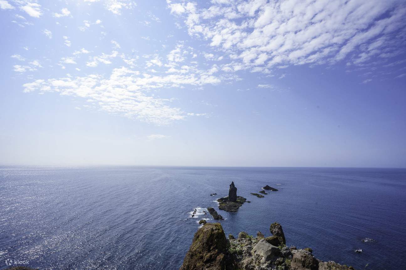 Hokkaido | Shakotan Sea Urchin Yoichi Whiskey Distillery Memetik Buah | Lawatan Hari Pemandangan Cape Kamui Otaru Tenguyama